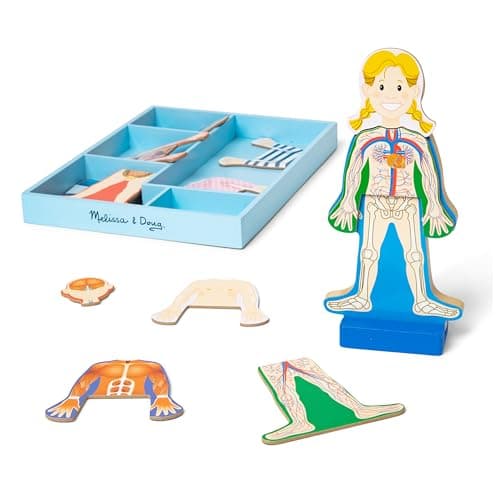 Melissa & Doug Magnetic Human Body Anatomy Play Set – Toys & Products
