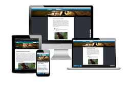 Discovery Education